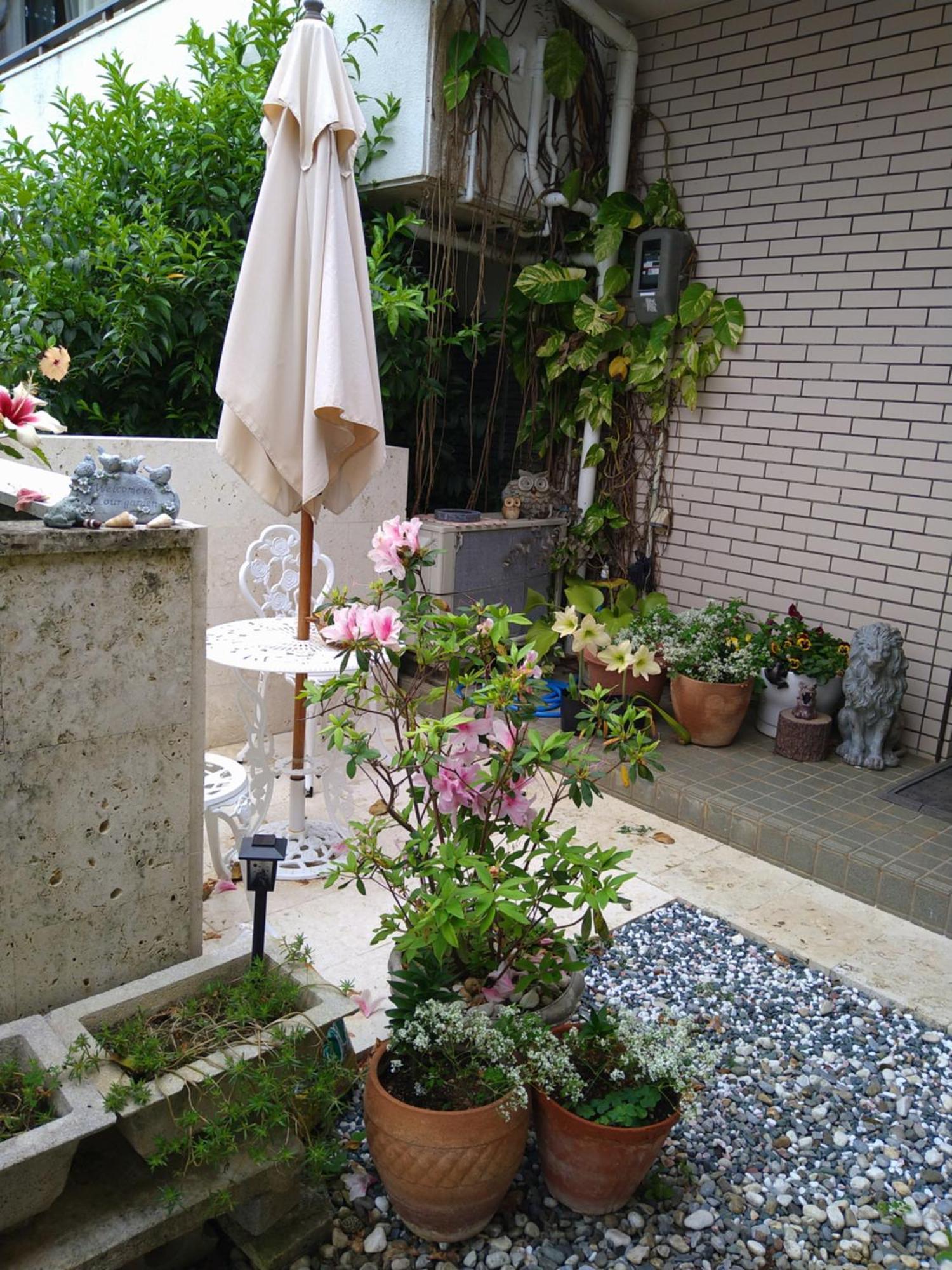 Minshuku Zabaru Hostel Ishigaki  Ngoại thất bức ảnh