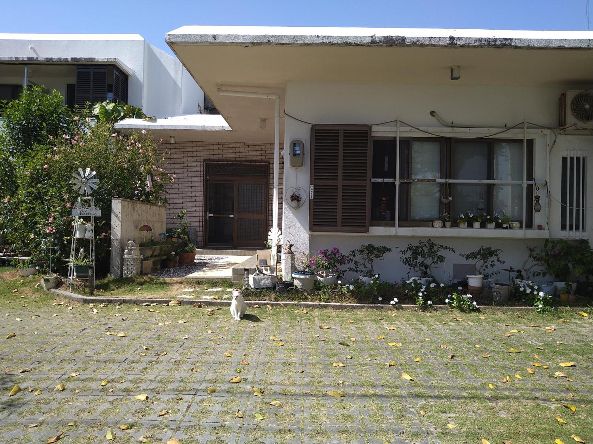 Minshuku Zabaru Hostel Ishigaki  Ngoại thất bức ảnh